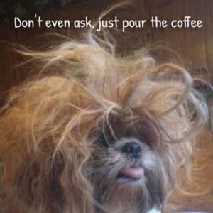 Meet your Posher, Adriana